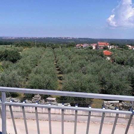Apartment Coskovic Rosini エクステリア 写真